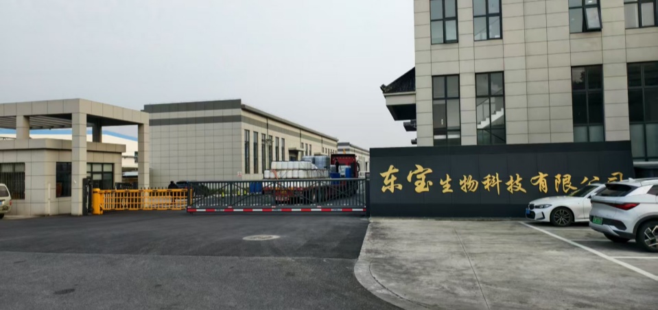 关于东宝